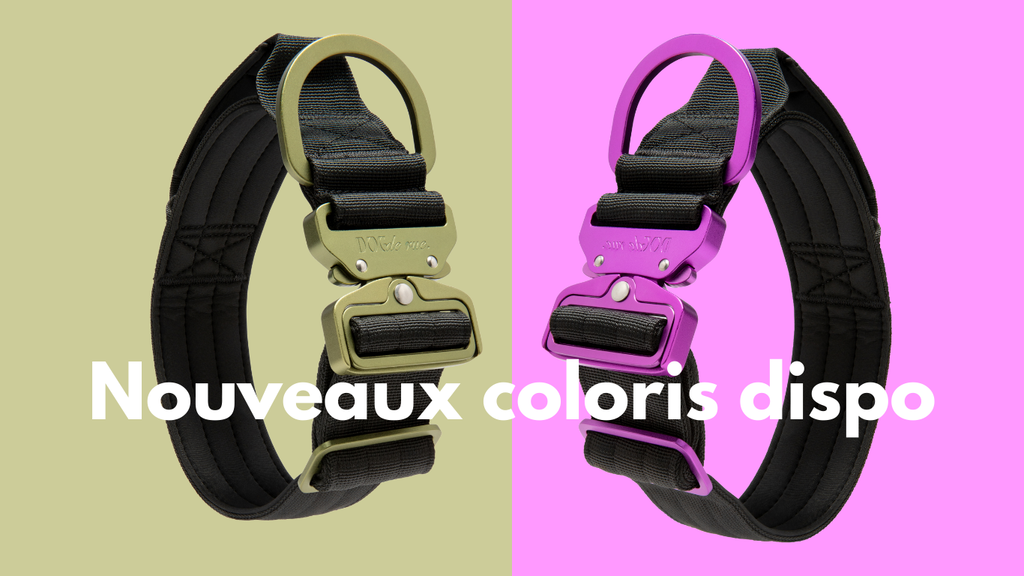 Collection Tactique Signature