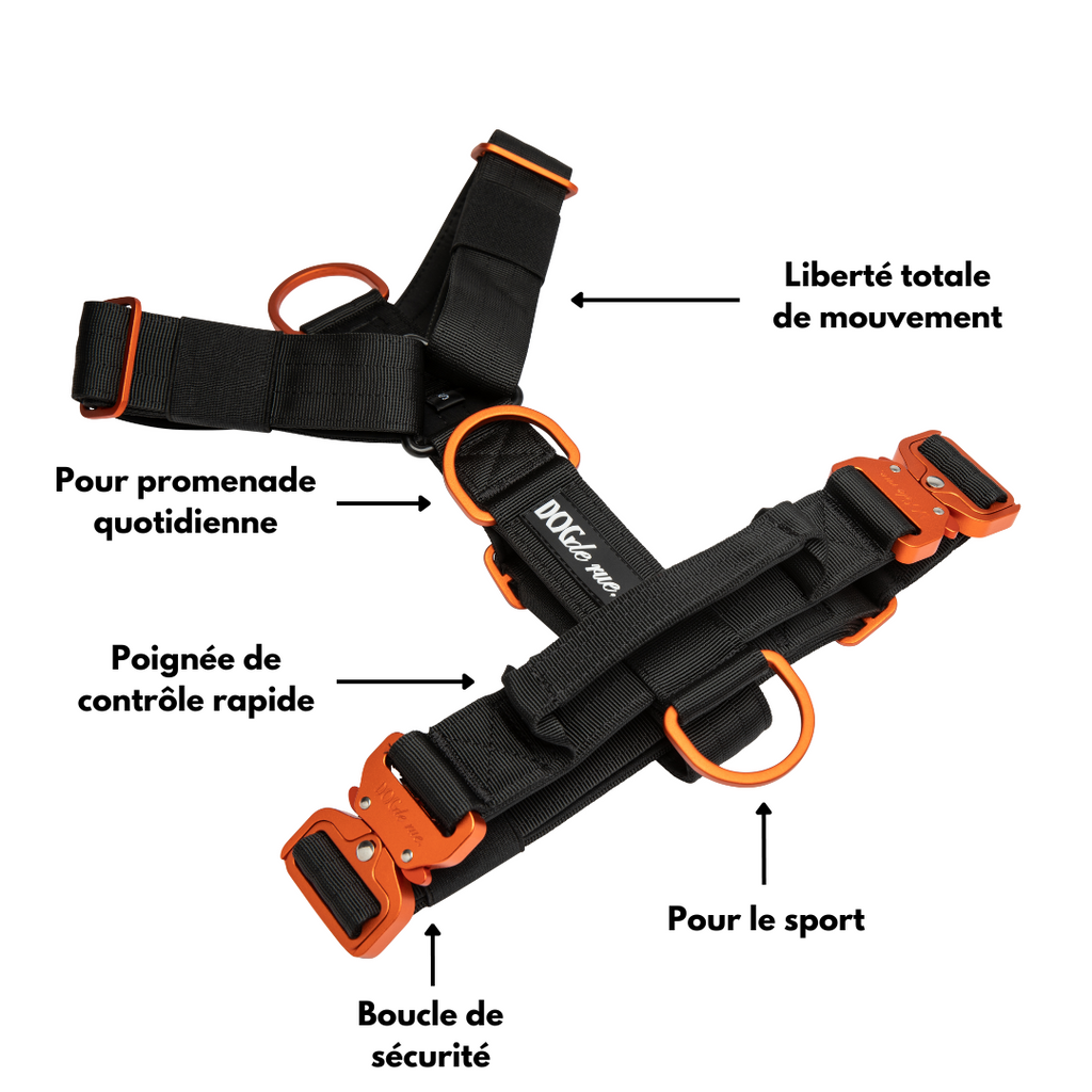 Harnais anti traction chien signature 5cm dos Avantages dogderue