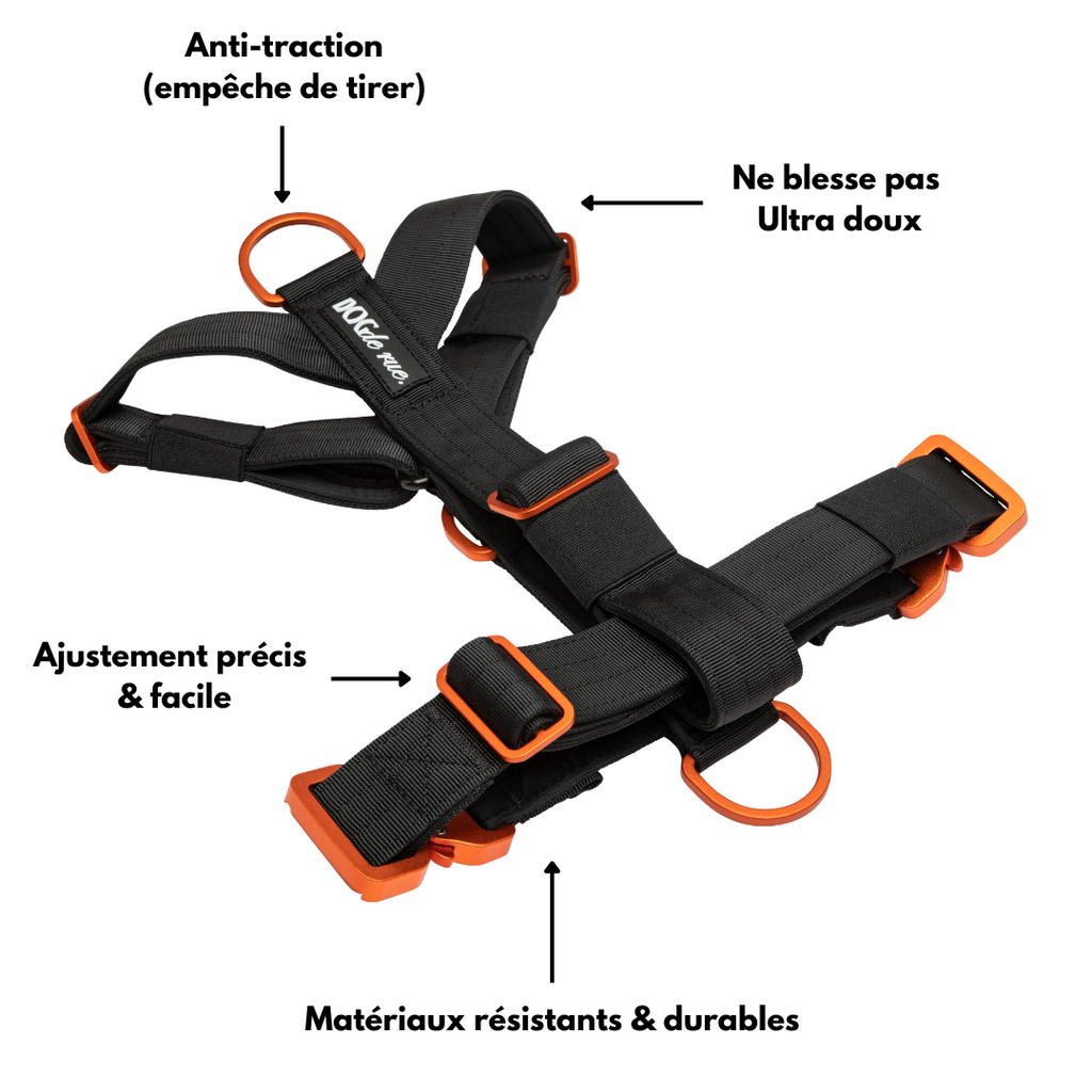 Harnais anti-traction chien signature 5cm poitrail Avantages dogderue