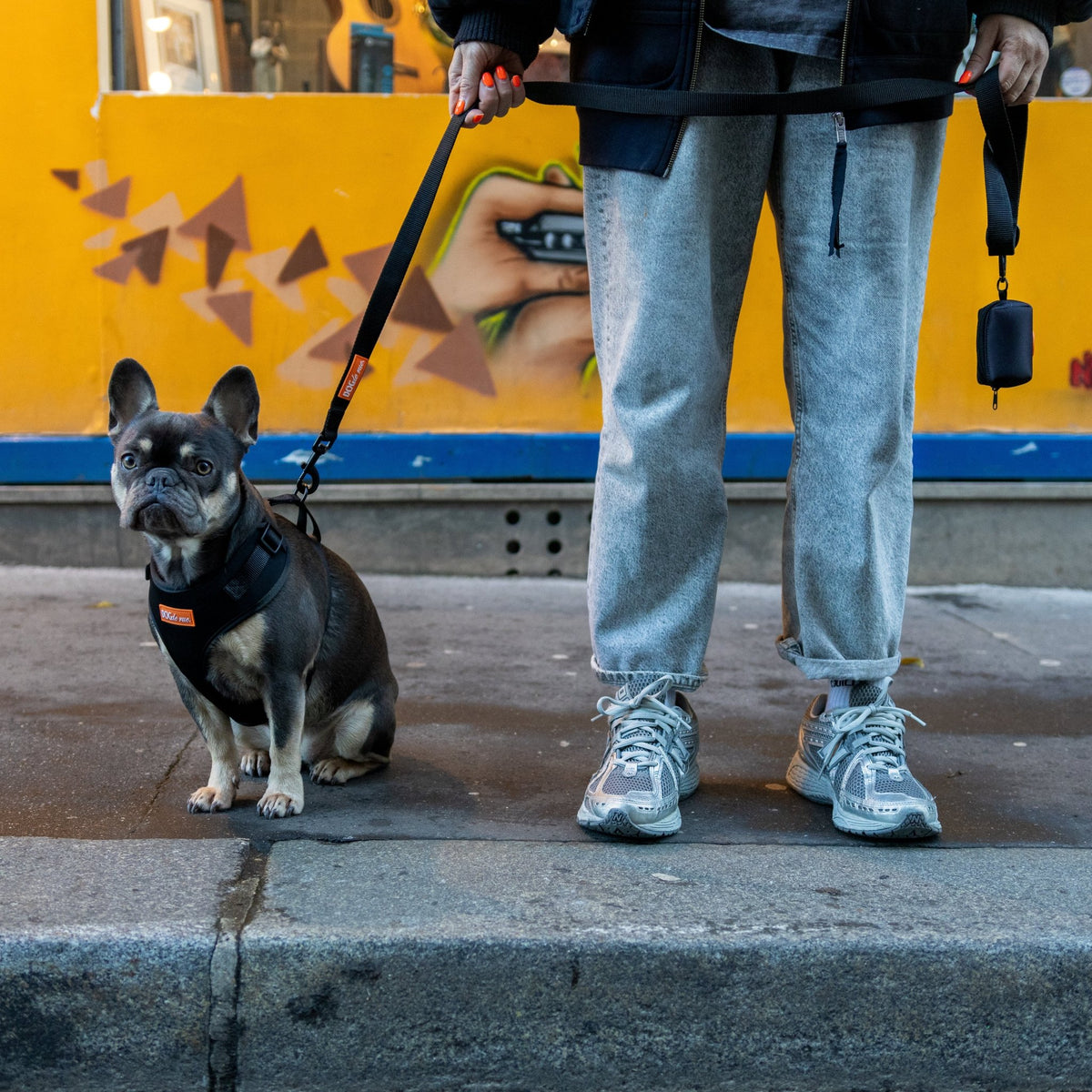 Laisse - Flare Core - Dog De Rue