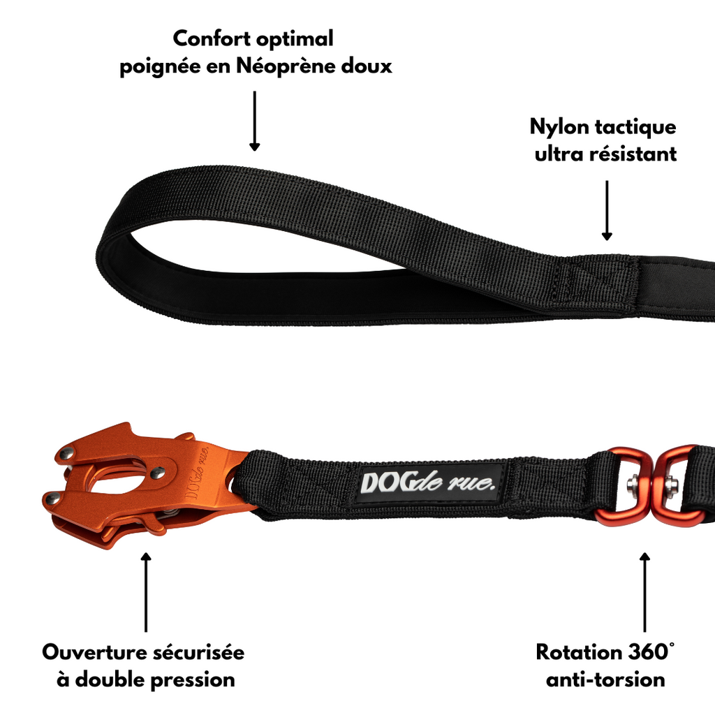 Laisse signature 5cm Avantages dogderue