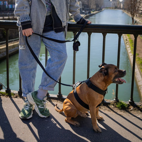Porte - Sacs Déjections - Noir - Dog De Rue