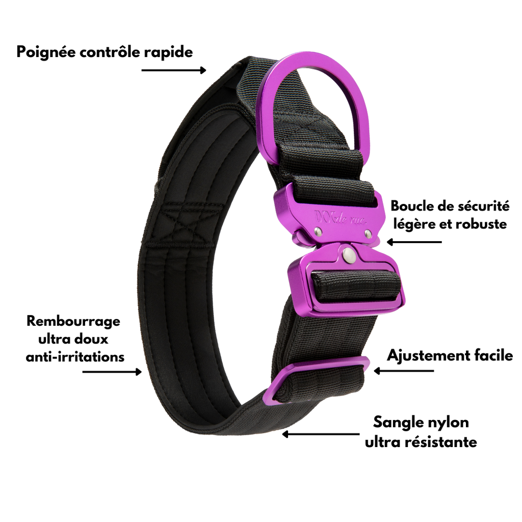 collier tactique 5cm signature magic purple avantages dogderue