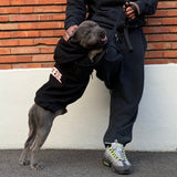 Hoodie Alumni - Dog De Rue