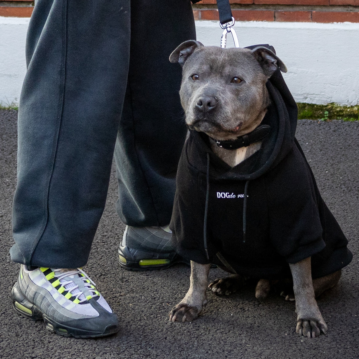 Hoodie Alumni - Dog De Rue
