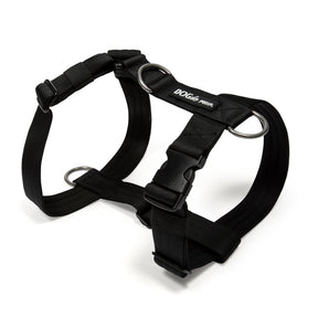 Harnais Anti - Traction - Élite Noir - Dog De Rue