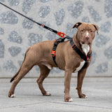 Laisse Tactique – Signature – Hot Orange - Dog De Rue