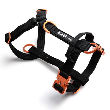 Harnais Anti - Traction Petits Chiens – Signature – Hot Orange - Dog De Rue