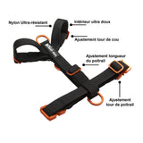 Harnais Anti - Traction Petits Chiens – Signature – Hot Orange - Dog De Rue