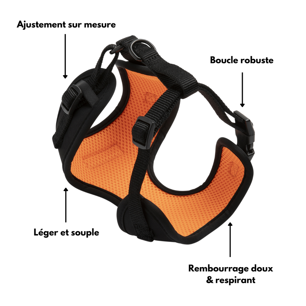 harnais chien reglable noir flare core profil avantages dogderue