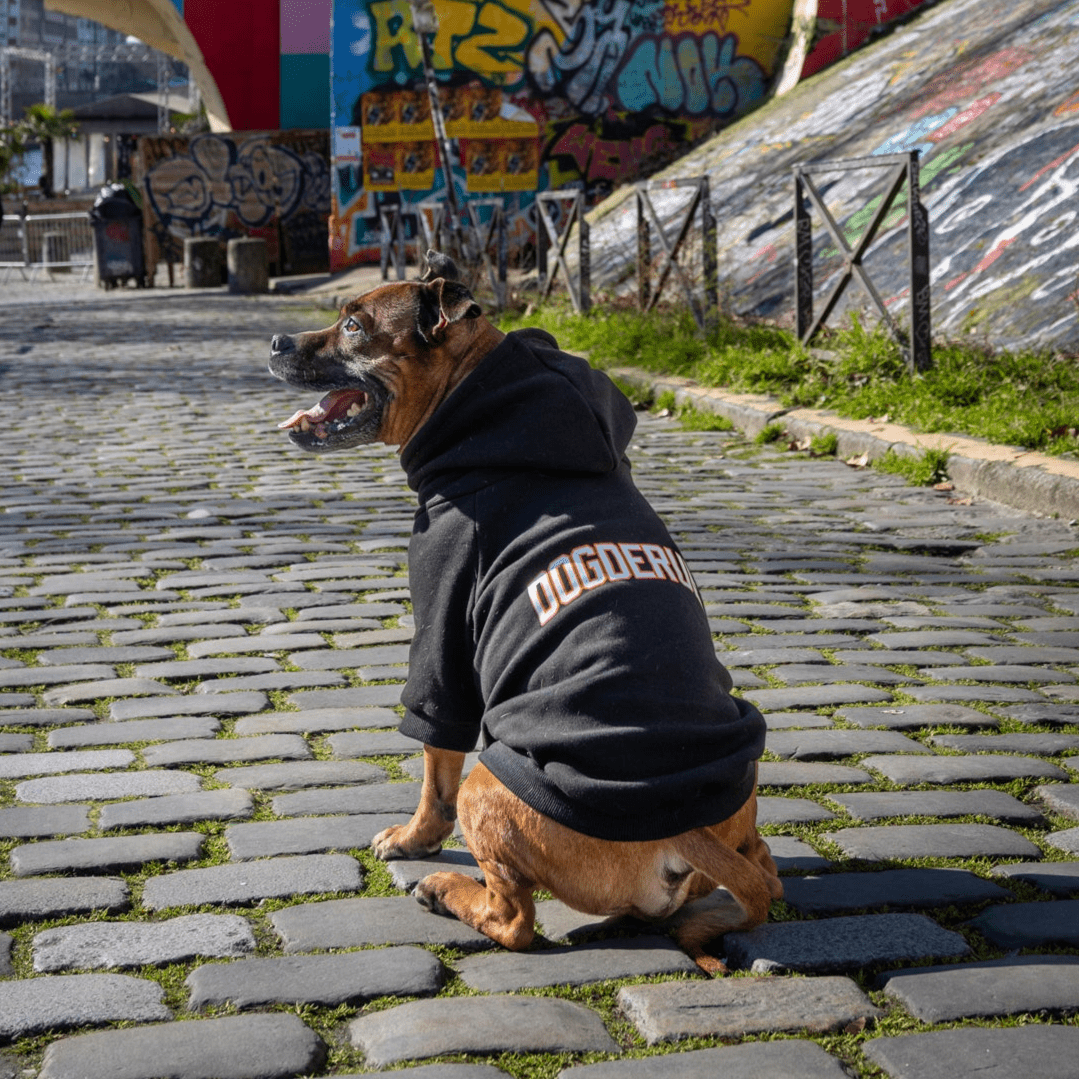 Hoodie Alumni - Dog De Rue