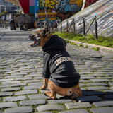 Hoodie Alumni - Dog De Rue