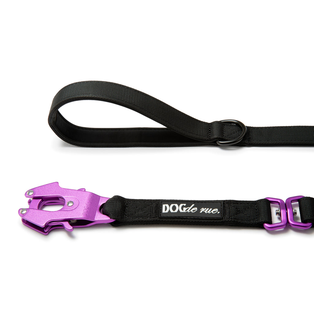 laisse tactique dogderue signature magic purple clip poignée