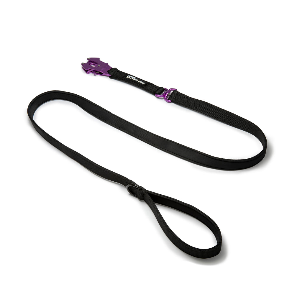 laisse tactique dogderue signature magic purple