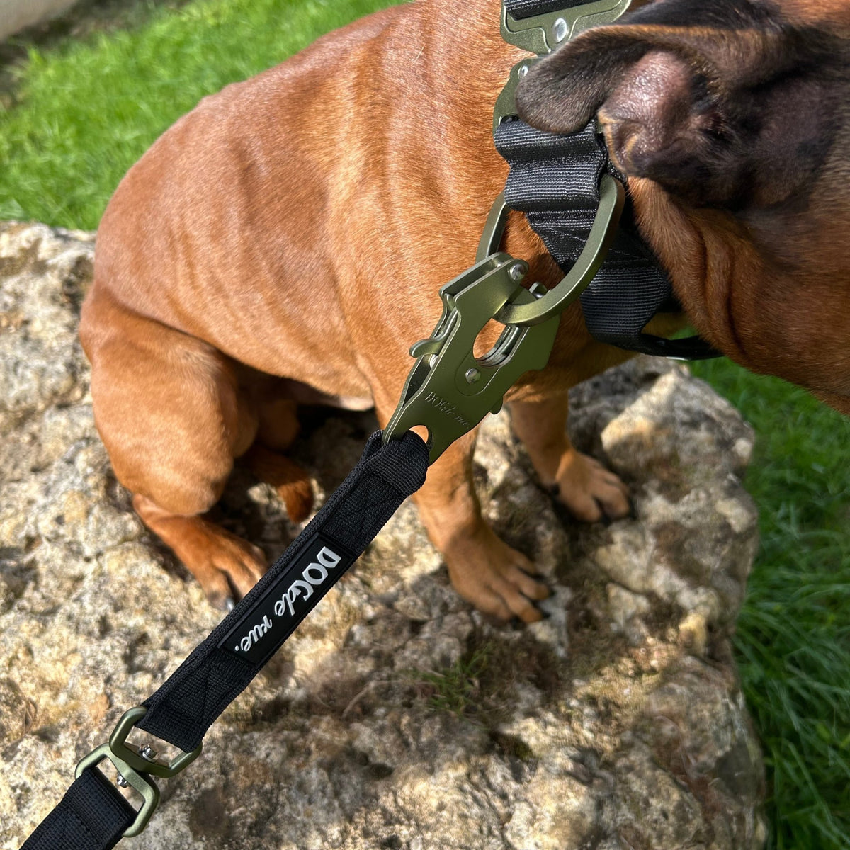 Laisse Tactique – Signature – Army Green - Dog De Rue