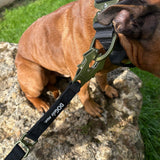 Laisse Tactique – Signature – Army Green - Dog De Rue