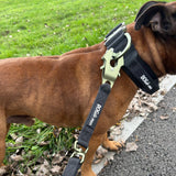 Laisse Tactique – Signature – Army Green - Dog De Rue