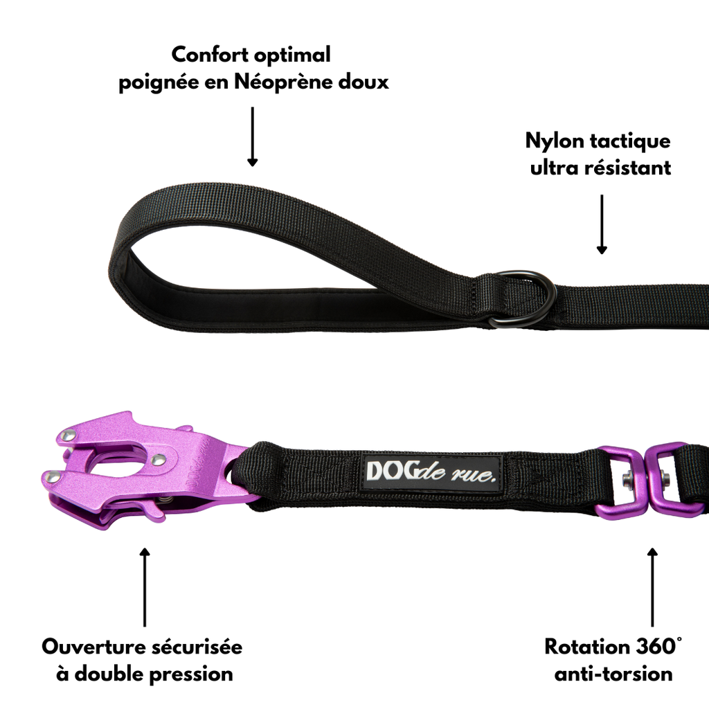 laisse tactique signature magic purple avantages dogderue