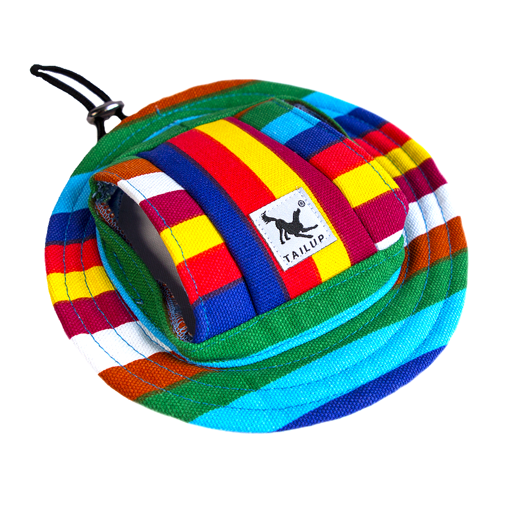 Chapeau pour chien - Multicolore