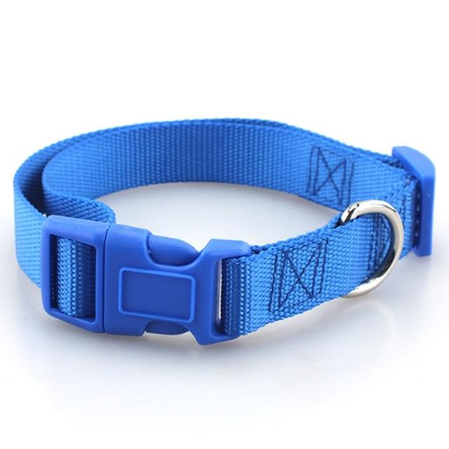 collier en nylon pour chien basic bleu