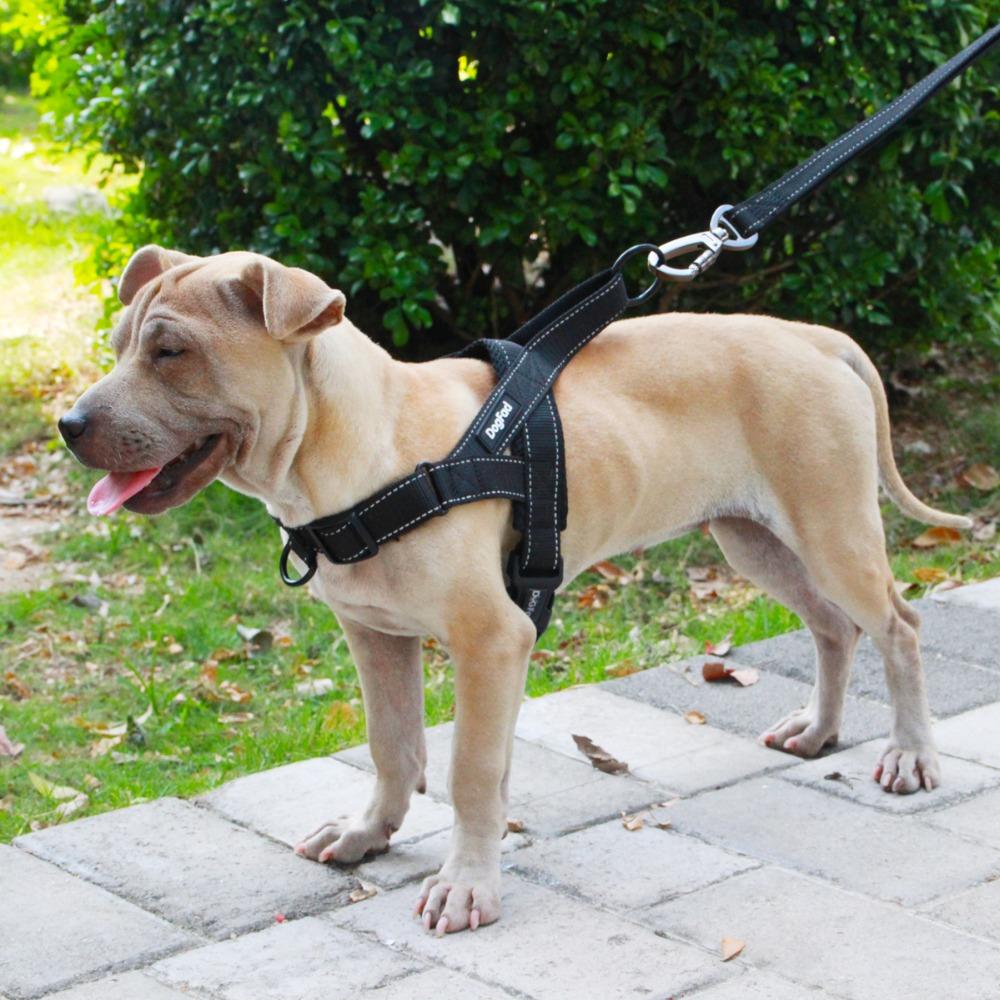 Harnais anti traction pour chien - Front Control - Rose - DogDeRue – Dog De  Rue