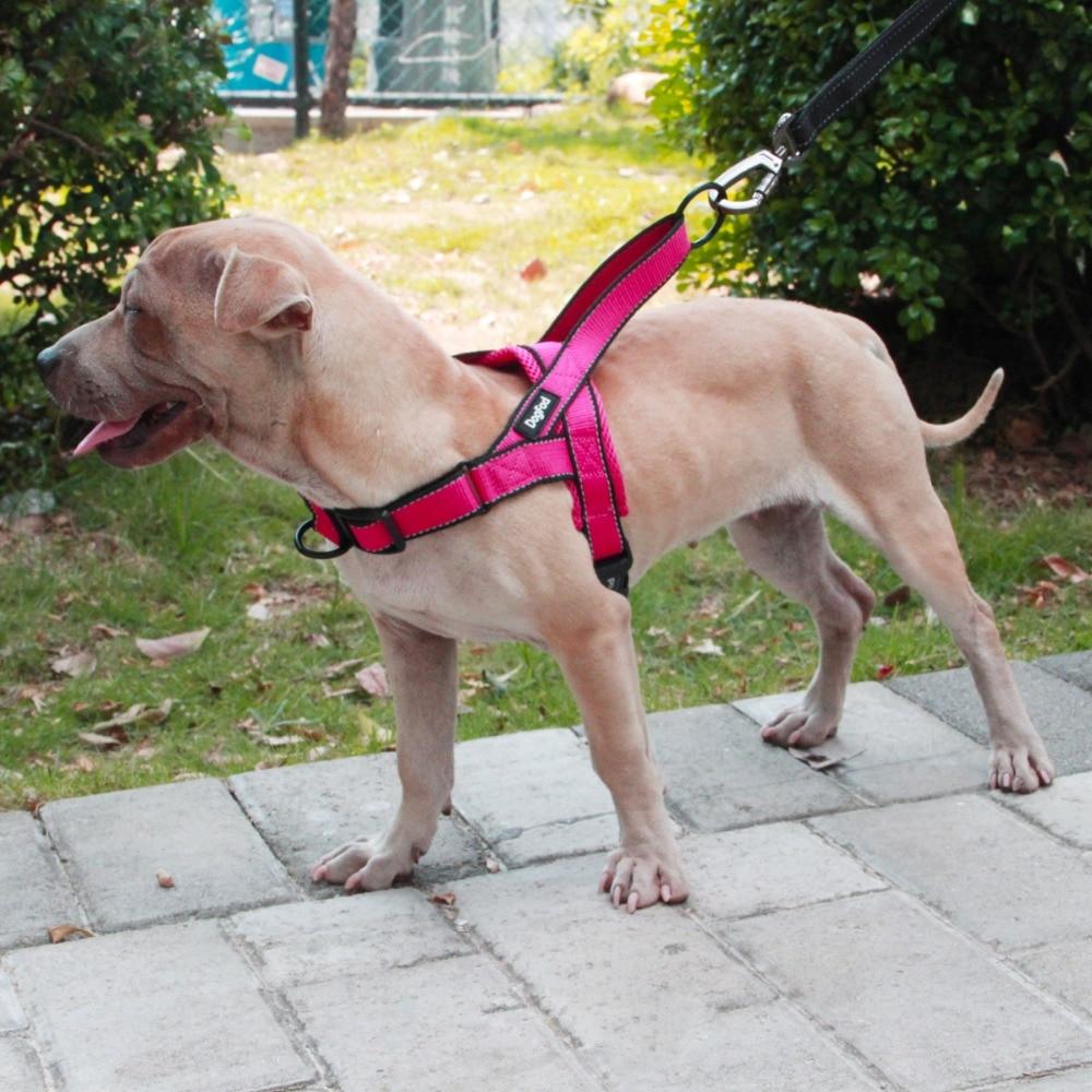 Harnais anti traction pour chien front control rose modele face
