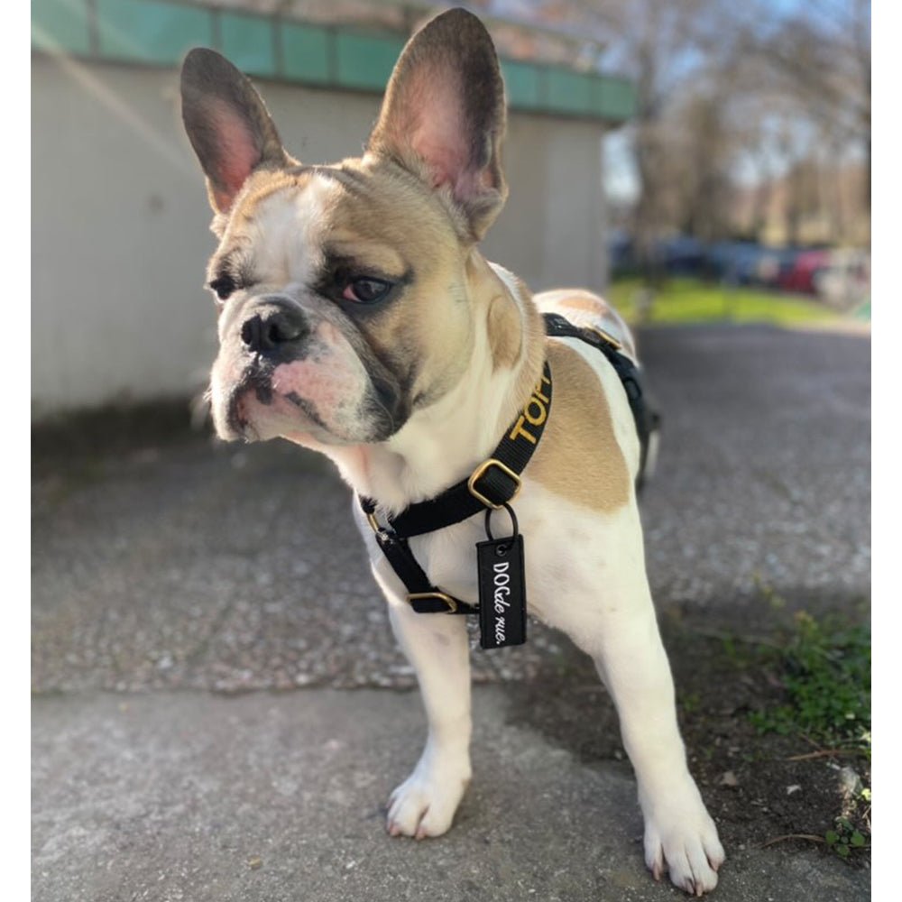 Médaille - Label Noir - Dog De Rue