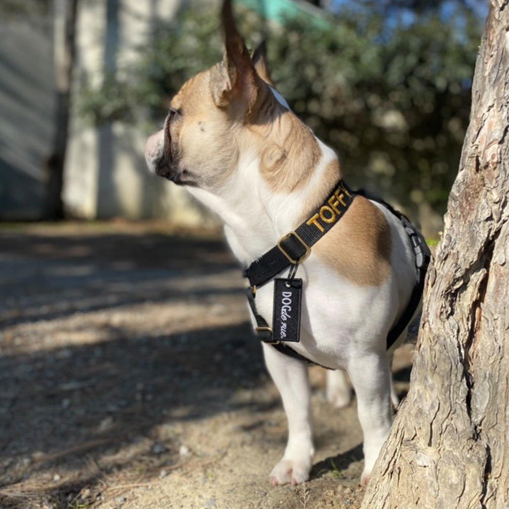 Médaille personnalisable pour chien - Label - DogDeRue - Noir - Bouledogue Toffy - Profil